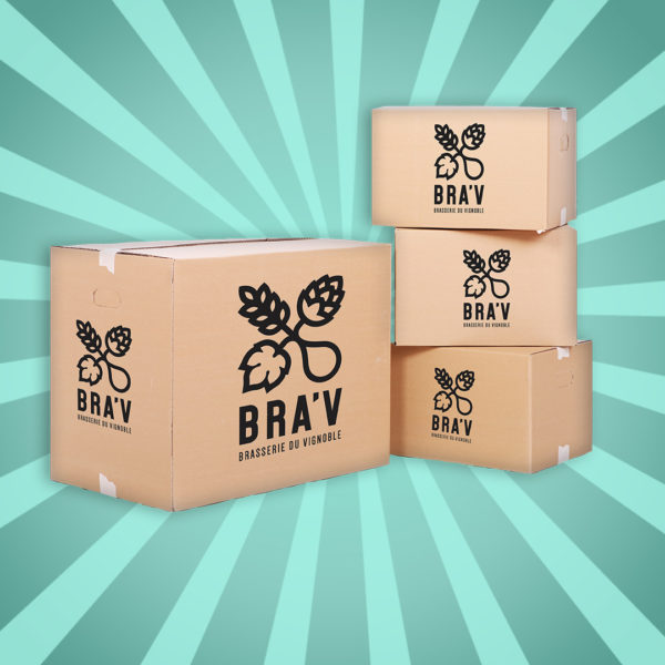 Carton de bières mix 12x33cl