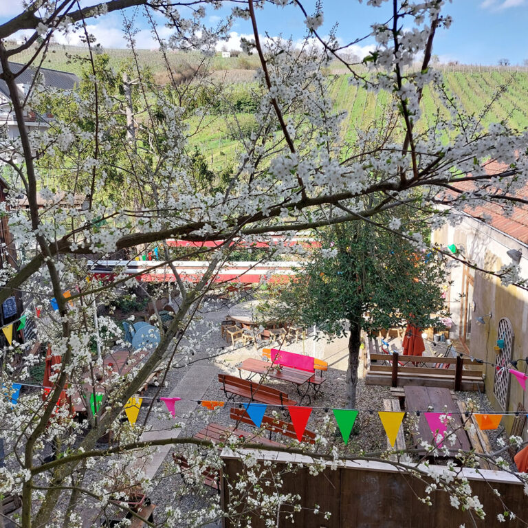 Saint-Patrick Biergarten Riquewihr